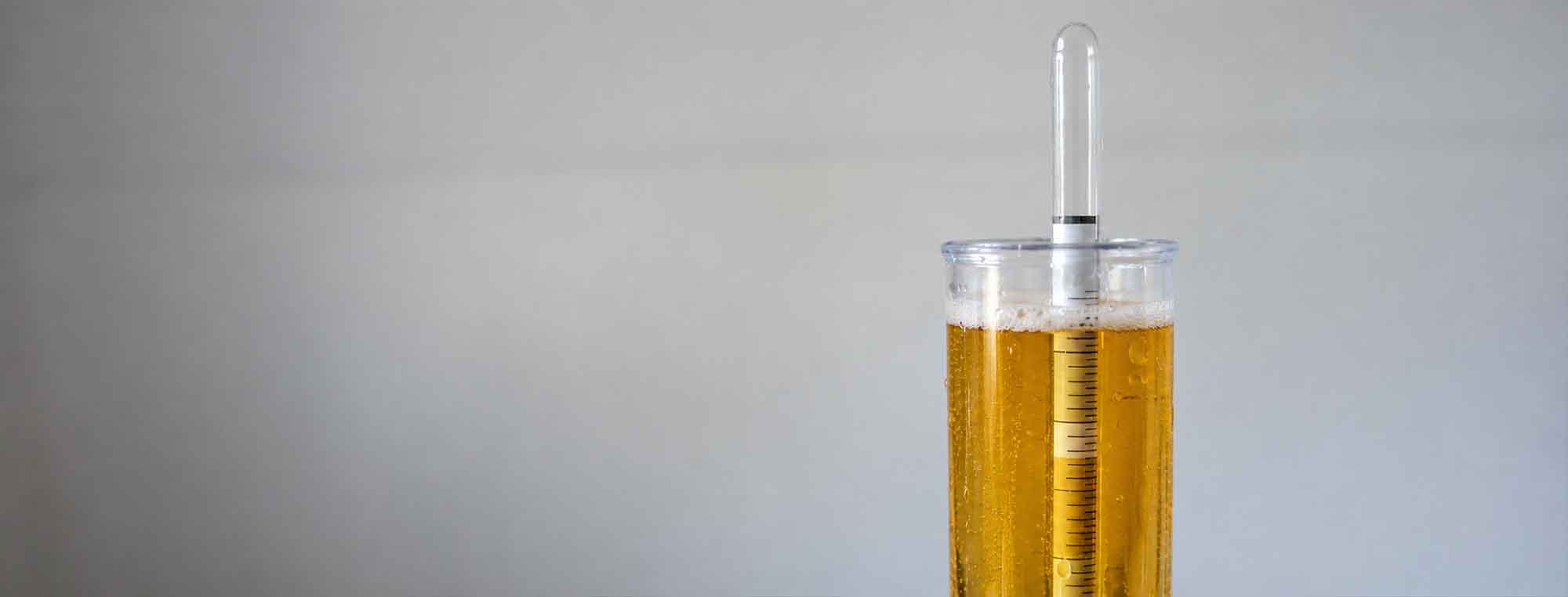 How to Read a Homebrewing Hydrometer