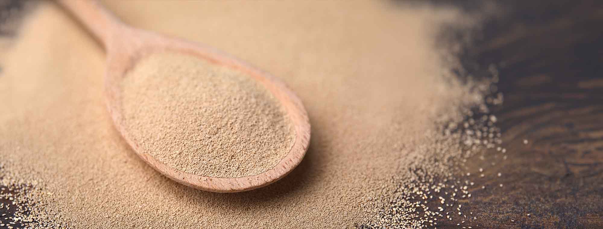 Can I Use Bread Yeast for Homebrew?