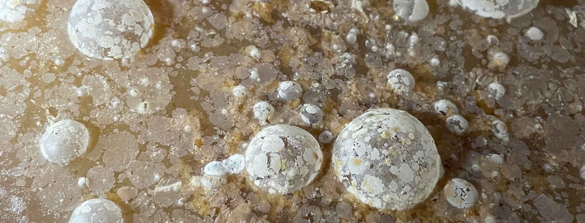 Is This Kahm Yeast?