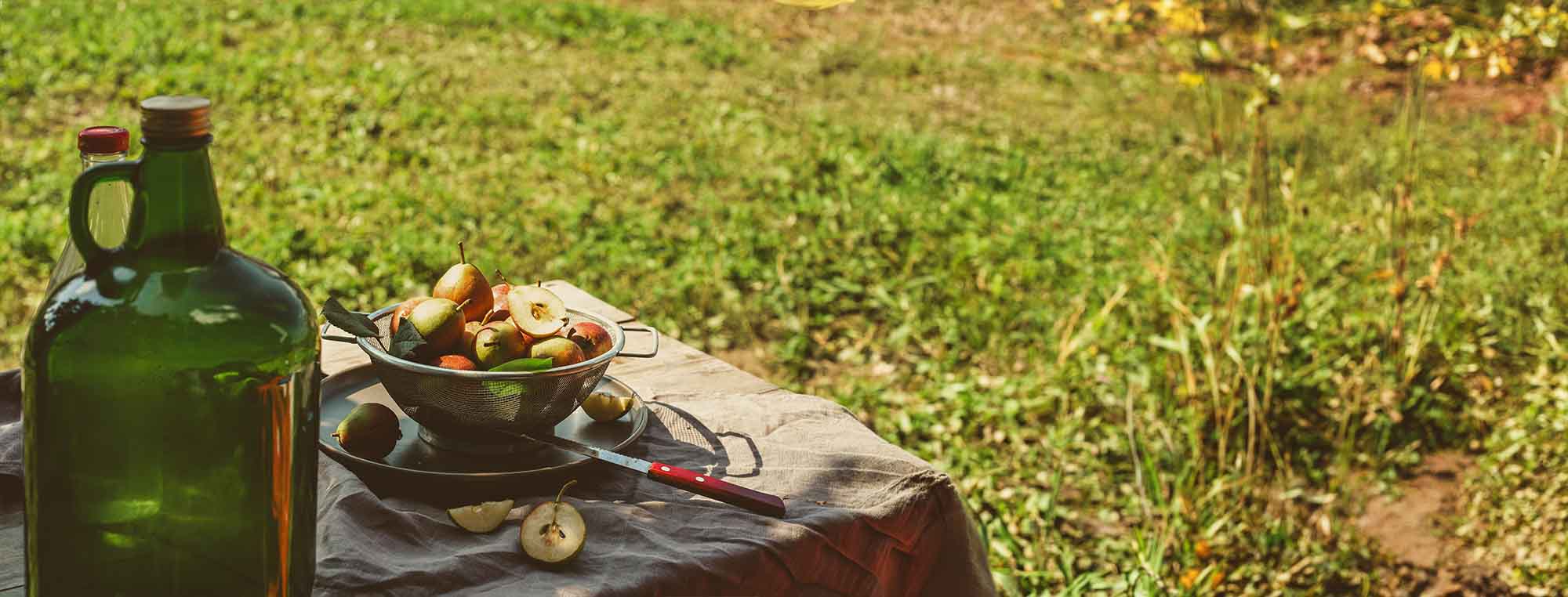 How to Start Homebrewing: A Beginner’s Guide to Mead, Cider, and Fruit Wine