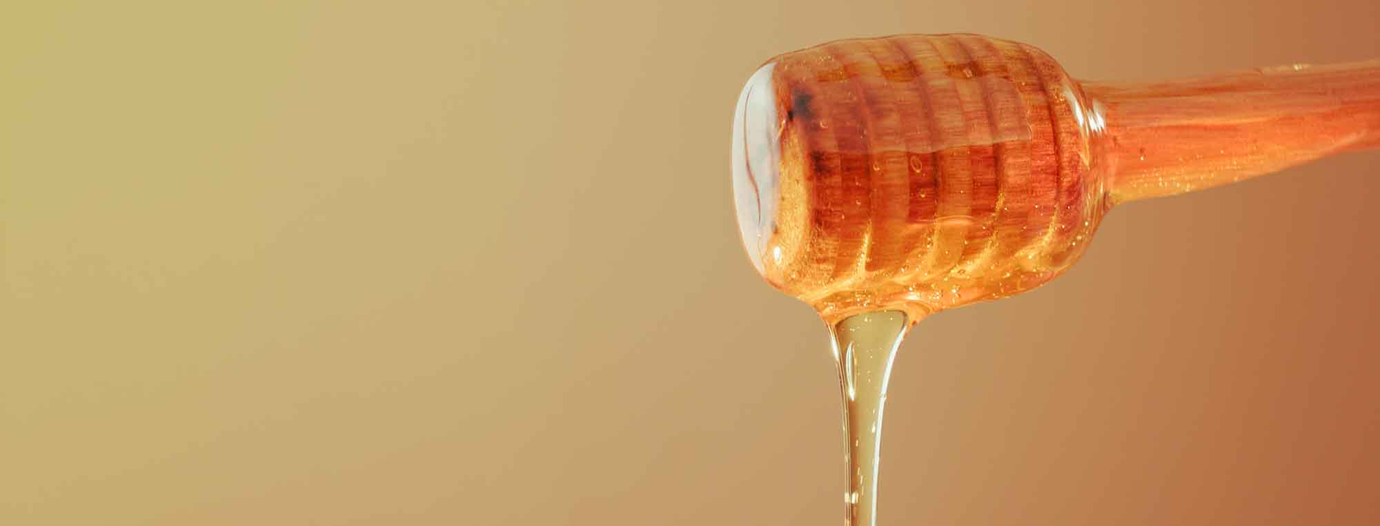 How to Make Mead the Simple Way