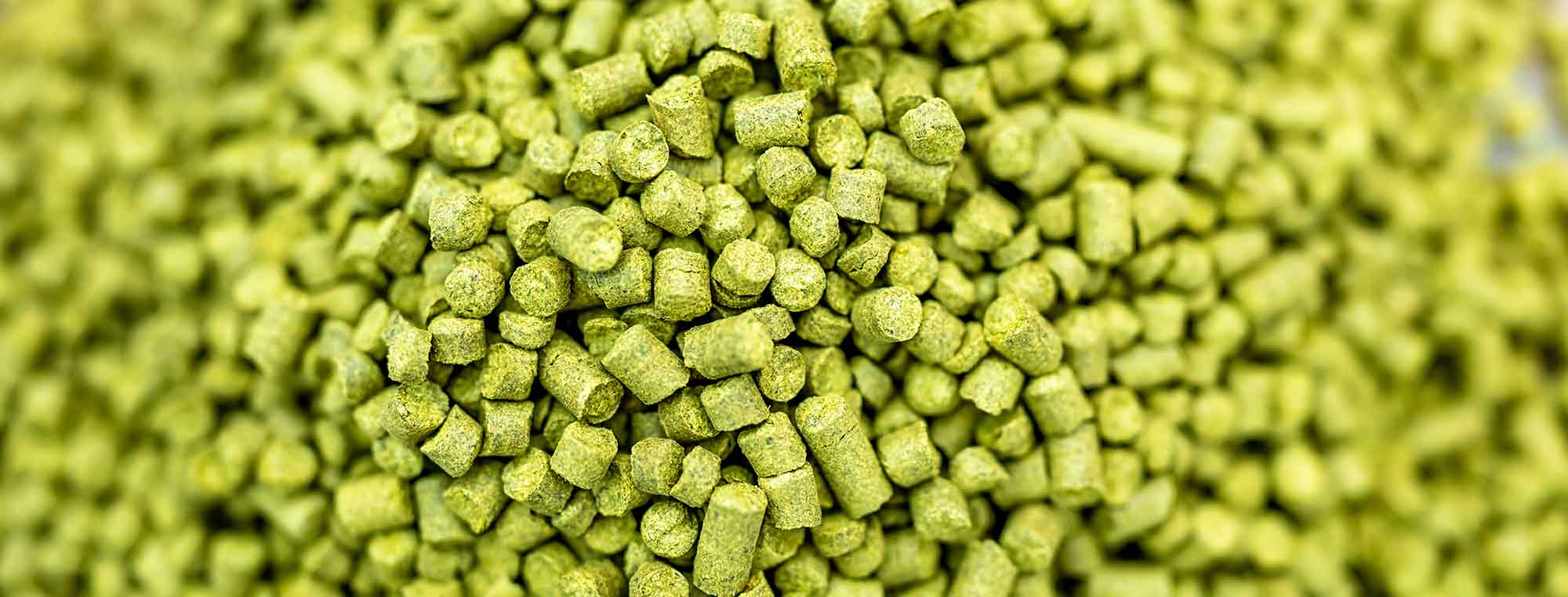 How to Maximize Hop Flavor and Aroma in Beer and Mead