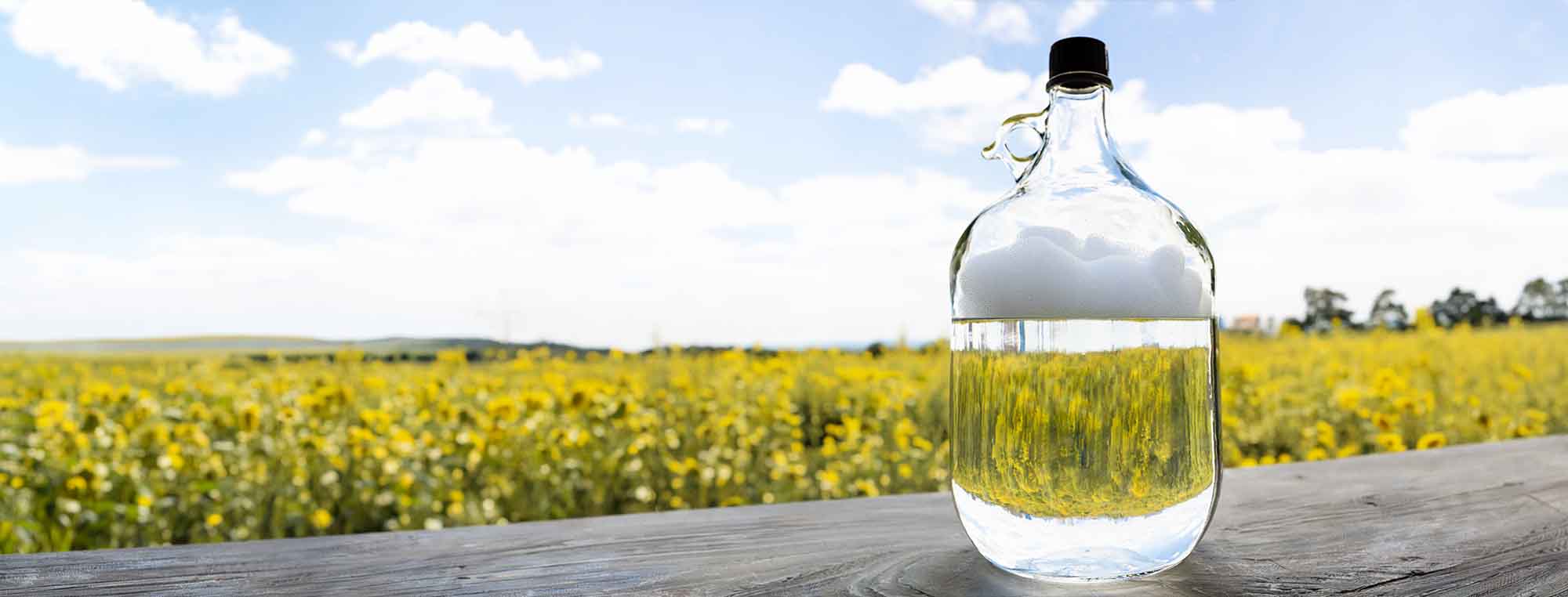 What is the Best One Gallon Fermenter?