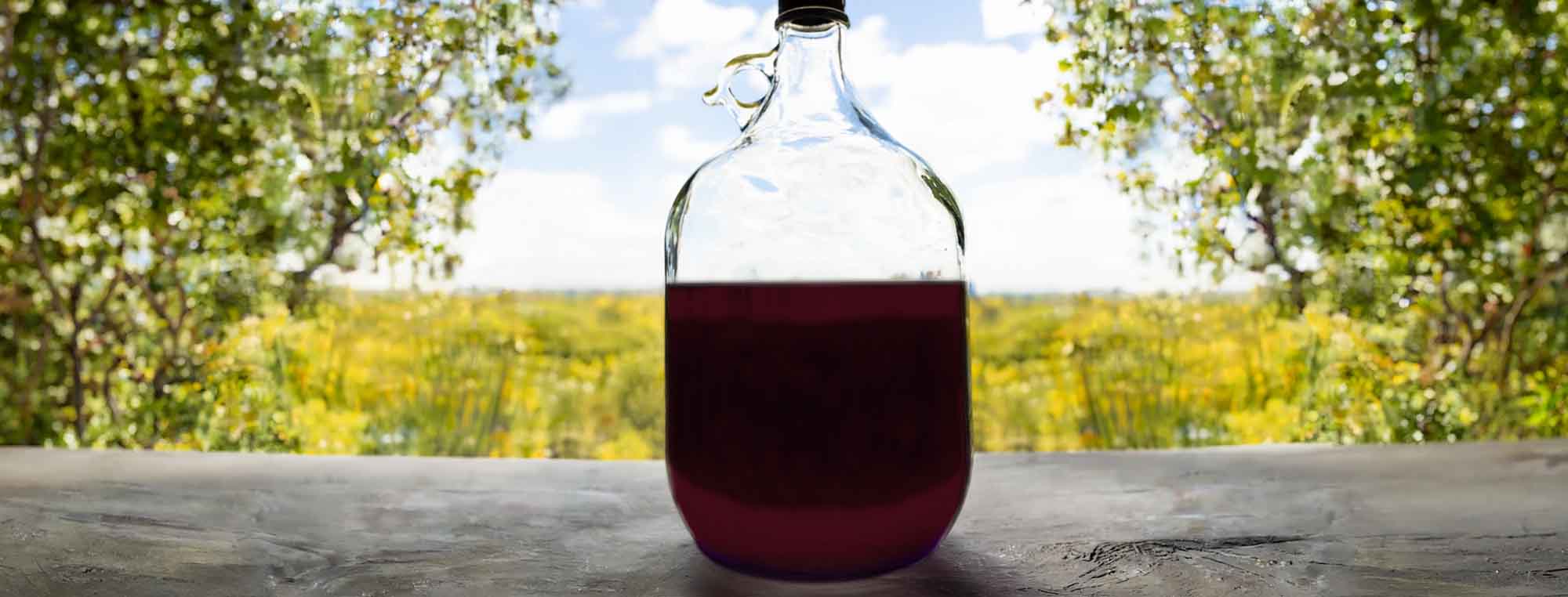 Is My Mead or Beer Oxidized?
