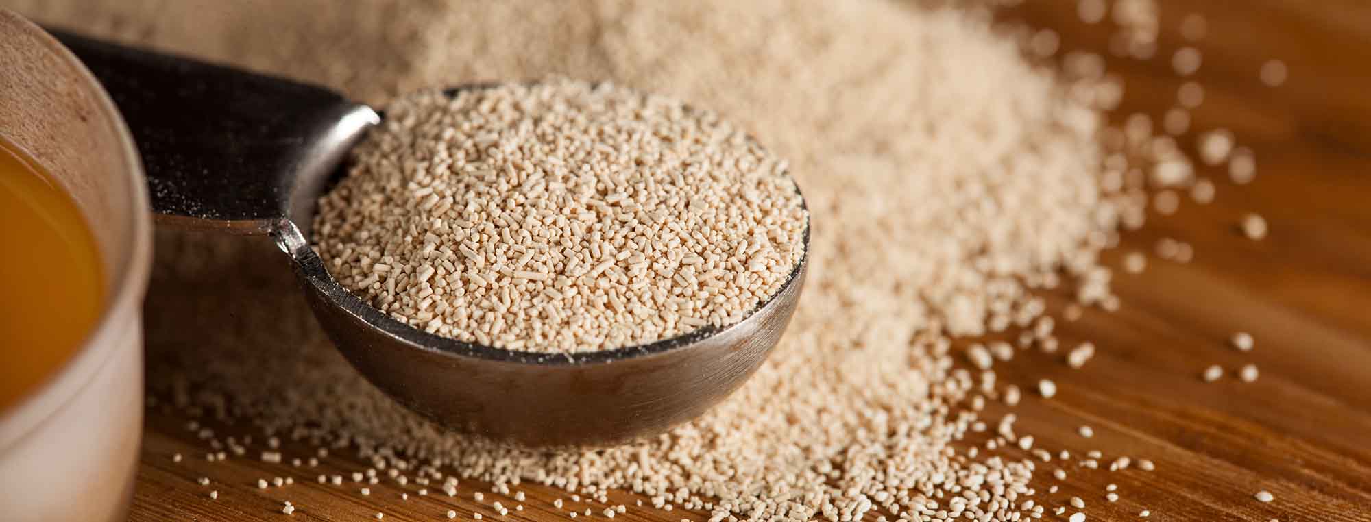Osmotic Stress on Yeast: Why Big Meads Are Hard to Ferment